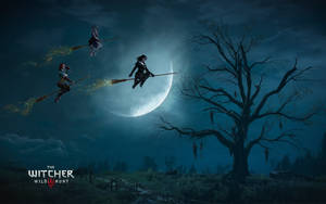 The Witches Of The Witcher 3 Wallpaper