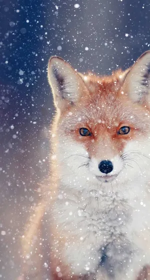 This Cool Anime Fox Is Ready To Play Wallpaper