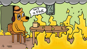 This Is Fine Meme With Burning Kitchen Wallpaper