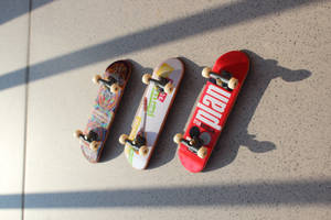 Three Assorted-color Fingerboards Wallpaper