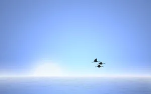 Three Birds Flying Over The Luminous Sky And Sea Wallpaper