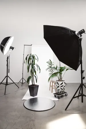 Three Green Linear Leafed Plants Beside Softbox Wallpaper