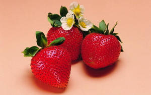 Three Pink Strawberries Wallpaper