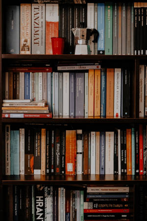 Tidy Books On The Shelve Wallpaper