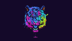 Tiger Psychedelic 4k Wallpaper