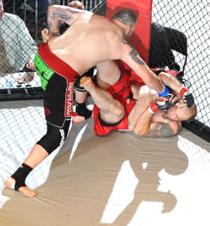 Tim Sylvia Former American Champion Wallpaper