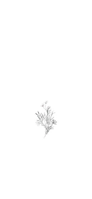 Tiny Flowers Art Drawing Wallpaper