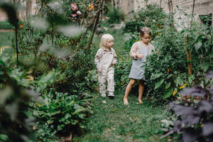 Toddlers In The Garden Wallpaper