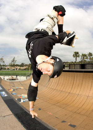 Tony Hawk Big Day Out 2012 Wallpaper