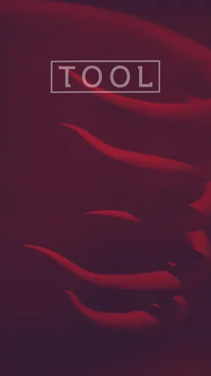 Tool - A Red Cover With The Words Tool Wallpaper