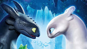 Toothlessand Light Fury Faceto Face Wallpaper