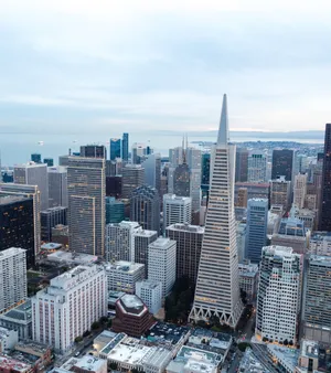 Top View Of Transamerica Pyramid Wallpaper