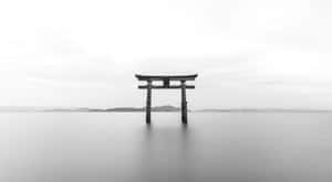 Torii Gate Serenity Waterfront Wallpaper