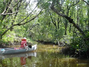 Tourist On Small Boat Everglades National Park Wallpaper