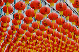 Traditional Lion Dance Performance At Chinese New Year Festival Wallpaper