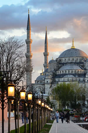 Tranquil Moment On The Street Near The Awe-inspiring Blue Mosque Wallpaper