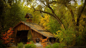 Tranquil Open Wooden House Amidst Nature Wallpaper