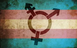 Trans Pride — Showing Solidarity And Celebrating Diversity Wallpaper