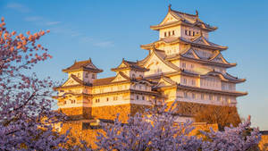 Transcendent Osaka Castle Wallpaper