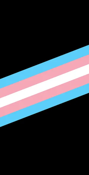 Transgender Thick Diagonal Lines Wallpaper