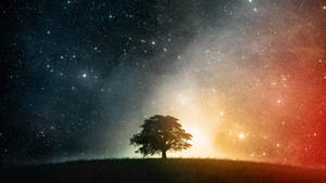 Tree And Vast Universe Wallpaper