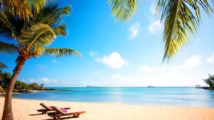 Trees Beach Dual Monitor Wallpaper