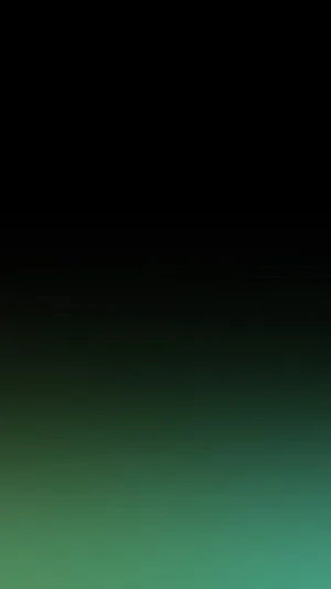 Trendy Black Ombre Style Wallpaper