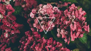 Triangle Tumblr Flowers Desktop Wallpaper