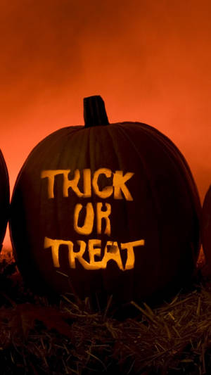 Trick Or Treat Pumpkin Words Wallpaper