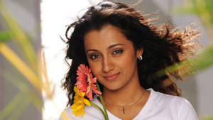 Trisha Flower Vinnaithandi Varuvaya Hd Wallpaper