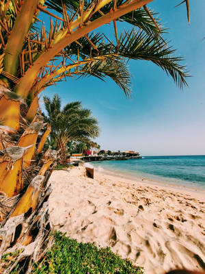 Tropical Beach In Cape Verde Wallpaper