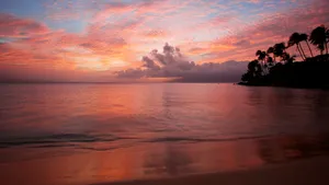 Tropical Beach Sunset Wallpaper