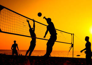 Tropical Beach Volleyball Men Silhouette Wallpaper