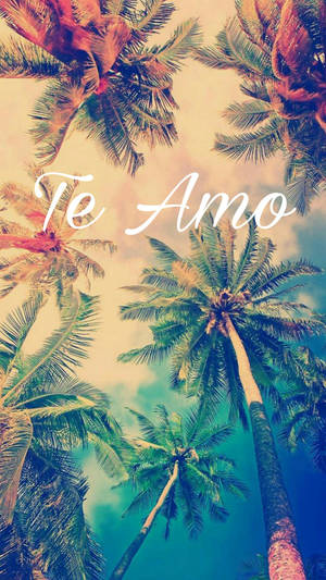 Tropical Palm Trees Te Amo Wallpaper