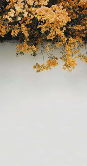 Tumblr Photography Golden Leaves Over A Wall Wallpaper