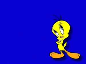 Tweety Bird 1920 X 1440 Wallpaper