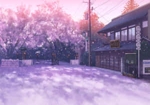 Twilight Cherry Blossoms Anime Scene Wallpaper