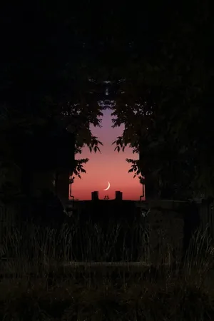 Twilight Silhouette Nature Scene Wallpaper