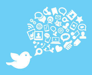 Twitter Bird Social Media Wallpaper