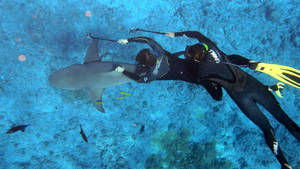 Two Divers Immersed In The Mesmerizing Waters Of French Polynesia Wallpaper