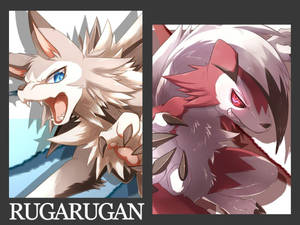 Two Lycanroc Forms Black Wallpaper