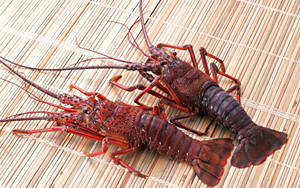 Two Red Lobsters On Bamboo Mat Wallpaper