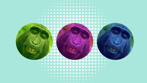 Ugly Monkey Wallpaper