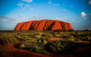 Uluru Sandstone Shrubs Wallpaper