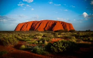 Uluru Sandstone Shrubs Wallpaper