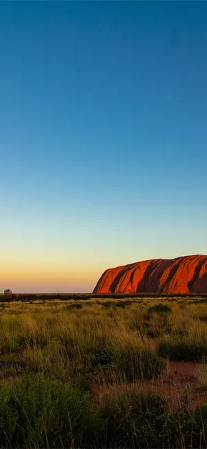 Uluru Yellow Blue Sky Wallpaper