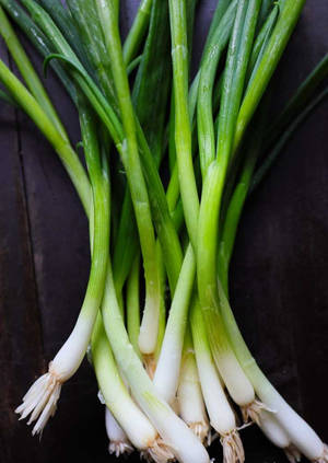 Uncannily Symmetrical Green Onion Stems Wallpaper