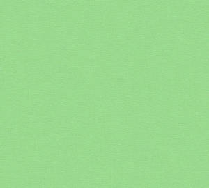 Undecorated Light Green Plain Wallpaper