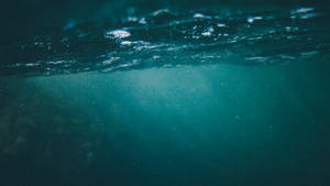 Underwater Camera Capture Wallpaper