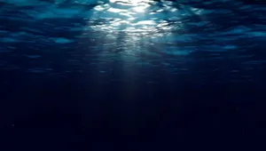 Underwater Dark Color Wallpaper